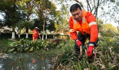 ​河道除草剂哪个效果好 河道除草剂如何选择