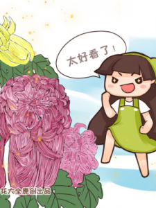 ​菊花长什么样(肛门长什么样)