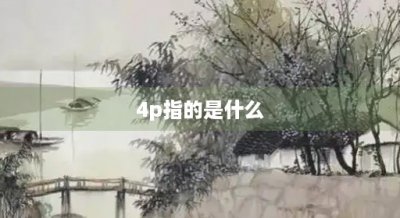 ​4p指的是什么(营销中的4p指的是什么)