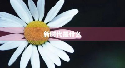 ​新时代是什么(新时代是什么烟)