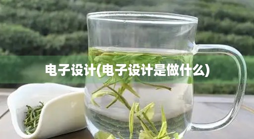 电子设计(电子设计是做什么)