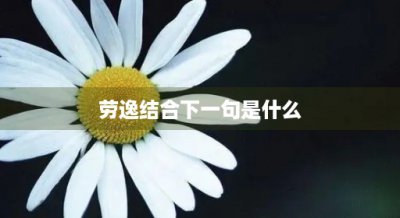 ​劳逸结合下一句是什么(劳逸结合下一句是什么歇后语)