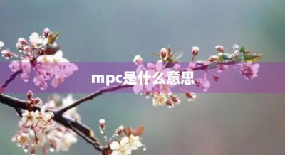 ​mpc是什么意思(pc是什么意思)