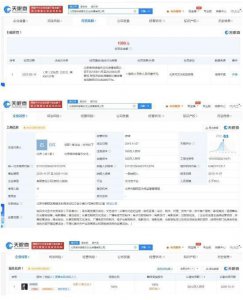 ​张靓颖公司涉嫌违规被罚 由张靓颖全资持股