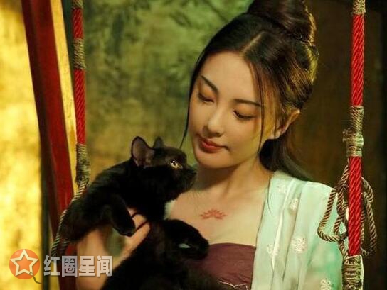 妖猫传杨贵妃怎么死的 妖猫传杨贵妃是猫妖吗