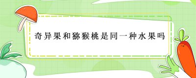 ​奇异果和猕猴桃一样吗？ 奇异果和猕猴桃的营养价值是一样的吗