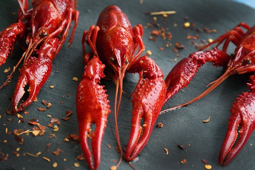 boiled-crayfish-4028132__340.jpg