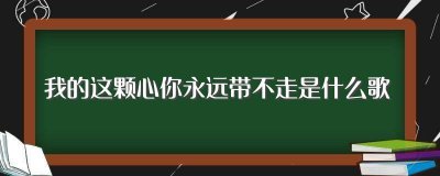 ​我的这颗心你永远带不走是什么歌（歌词我的这颗心你永远带不走是什么歌）