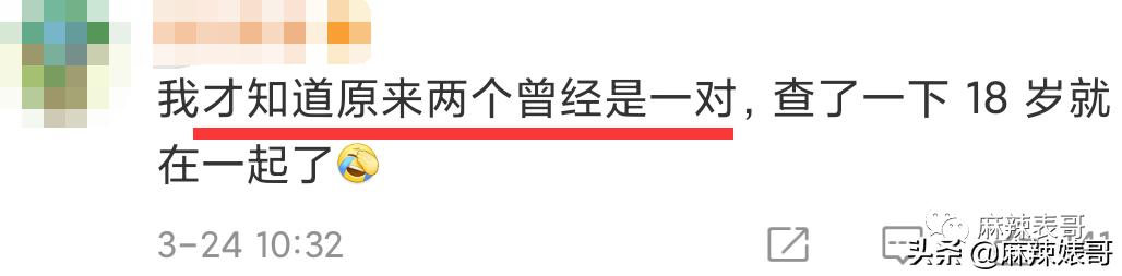 林志颖对林心如的感情该有多深（谁能想到林志颖林心如竟然谈过呢）(17)