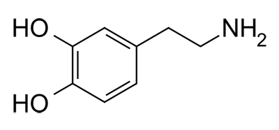 明星基因遗传特点（明星时常爆出绯闻）(8)