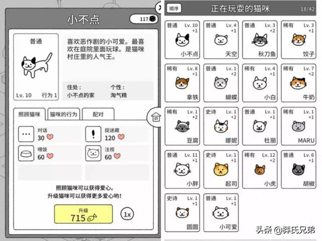 萌猫猫养成攻略（谈恋爱不如养猫）(15)