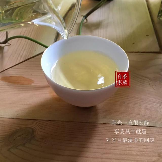 教你如何辨别白茶（如何辨别白茶好坏）(18)