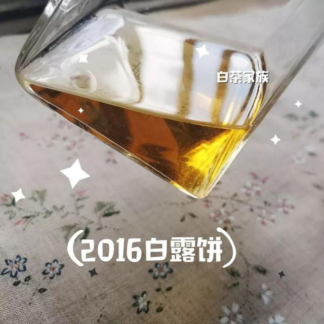 教你如何辨别白茶（如何辨别白茶好坏）(20)