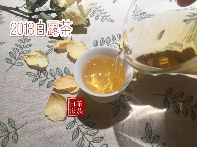 教你如何辨别白茶（如何辨别白茶好坏）(8)