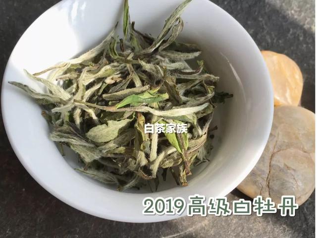 教你如何辨别白茶（如何辨别白茶好坏）(15)