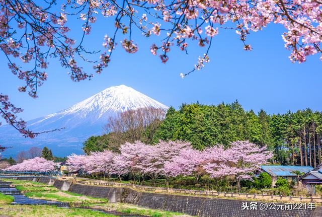 很多人眼中的日本人（你知道现在的日本人基本都是来自哪里的吗）(9)