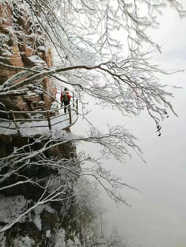 推荐一个好地方老爷山（天界山最精华处）(8)