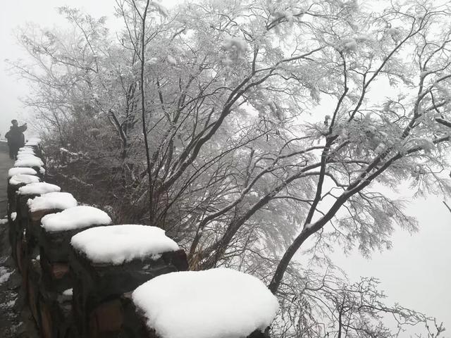 推荐一个好地方老爷山（天界山最精华处）(9)