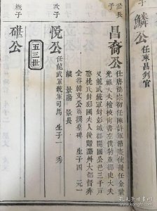 ​刘巨容公后代分支图（长沙定王刘发后裔世系）