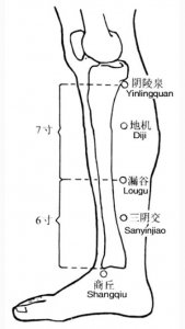 ​小腿及脚上的穴位分解图