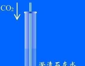 二氧化碳为什么能使澄清石灰水