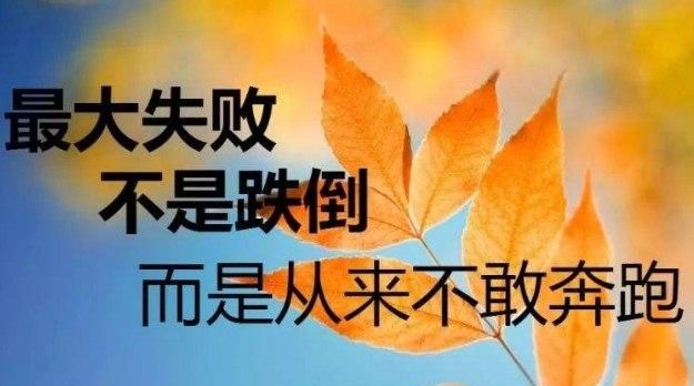 鼓励人的经典语句八句