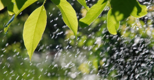 为什么下雨天睡得更香,下雨天睡觉天图9