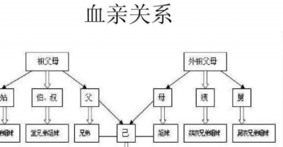 ​直系血亲关系包括哪些,直系血亲关系包括哪些人