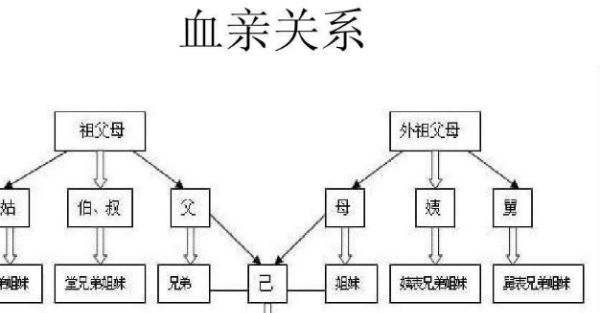 直系血亲关系包括哪些,直系血亲关系包括哪些人图1