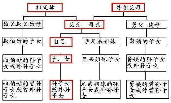 直系血亲关系包括哪些,直系血亲关系包括哪些人图4