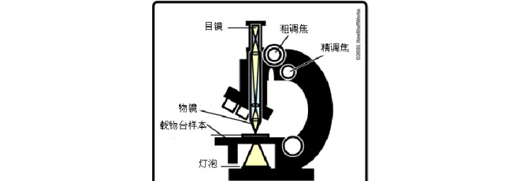 显微镜是谁创造的