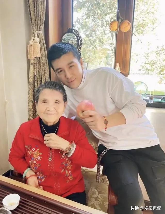 杨子个人资料简介及家世（杨子90岁的母亲感染新冠，吃88年的一颗中药痊愈，网友都说不相信）