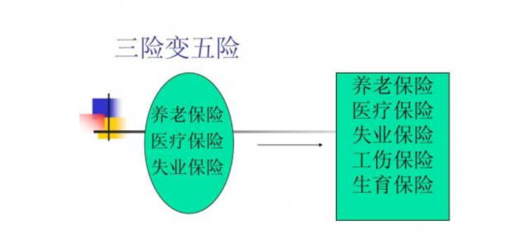 三险一保指什么