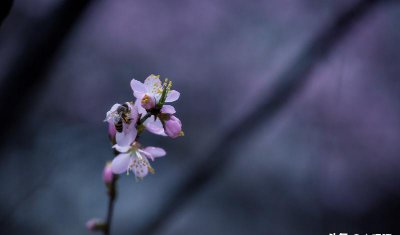 ​女人真正放下你的表现 明显感觉到她对你的疏远（一个女人真正放下你的表现）