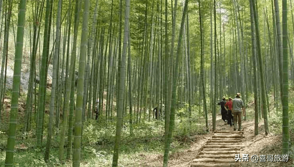 徂徕山国家森林公园门票价格(徂徕山国家森林公园游玩攻略)