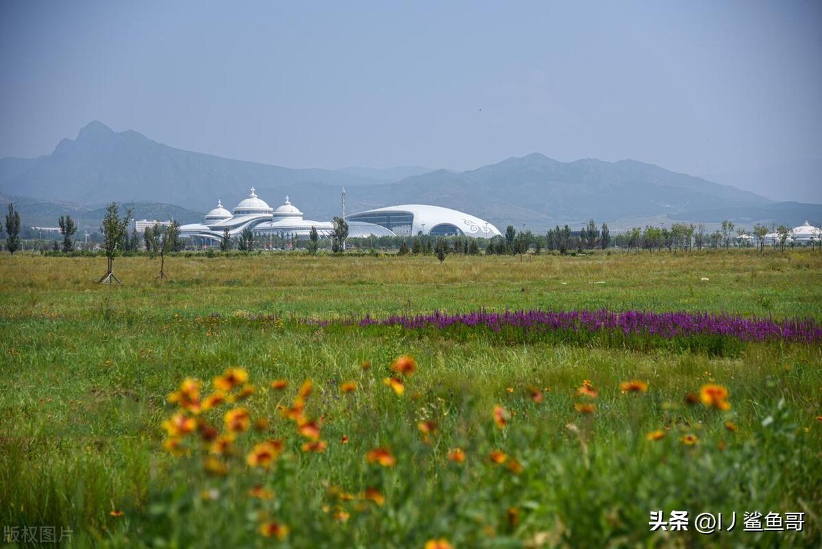 呼和浩特旅游景点(呼和浩特旅游景点排名前十)