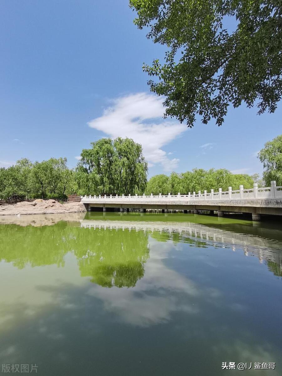 呼和浩特旅游景点(呼和浩特旅游景点排名前十)