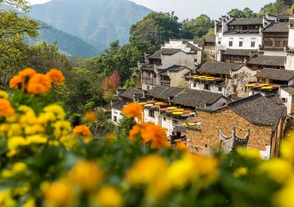 第四天：绩溪——宏村——休宁（篁岭）