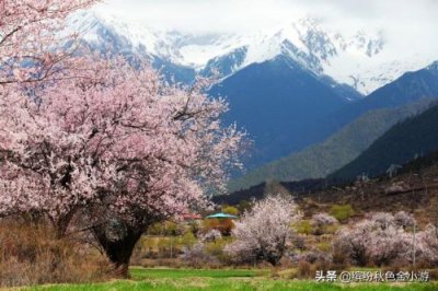 ​林芝地区海拔高度多少(林芝地区海拔很高吗?)