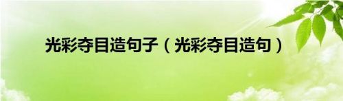 光彩夺目造句子三年级下册(光彩夺目造句子短一点)-第1张图片-