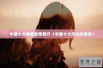 ​中国十大检察故事简介（中国十大杰出检察官）