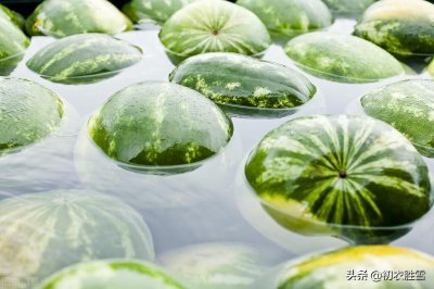 ​舌尖上的盛夏七首：我有浮瓜沉李约，沉李浮瓜冰雪凉