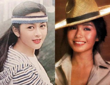 ​九十年代女港星大全(90年代十大美女明星颜值排名)