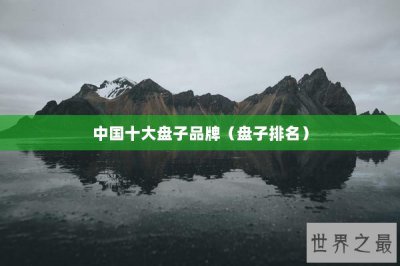 ​中国十大盘子品牌（盘子排名）