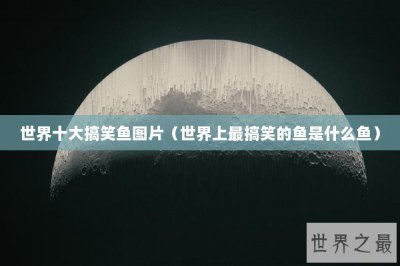 ​世界十大搞笑鱼图片（世界上最搞笑的鱼是什么鱼）