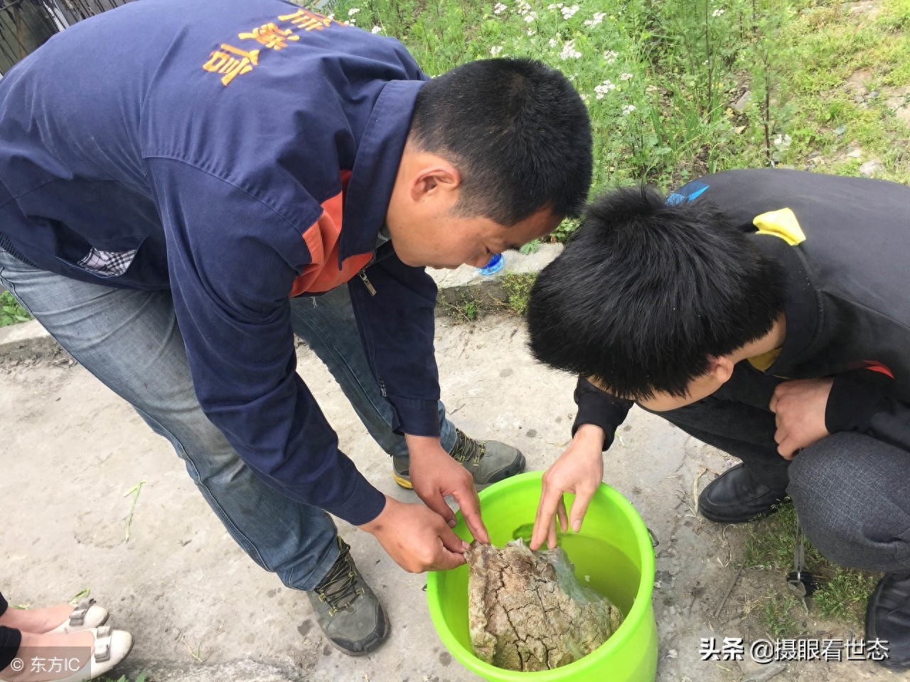 这些年，全国各地挖出的稀罕物太岁都说值百万以上，究竟有人买没