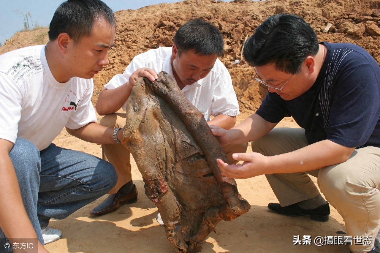 这些年，全国各地挖出的稀罕物太岁都说值百万以上，究竟有人买没