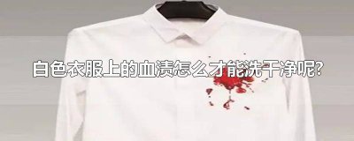 ​白色衣服有血渍怎么洗白 白色衣物血渍怎么洗掉