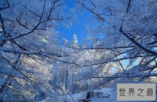 冬季国内十大最佳看雪地，一下雪就成了梦幻圣地的地方