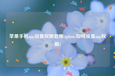 ​苹果手机app设置权限管理(iphone如何设置app权限)